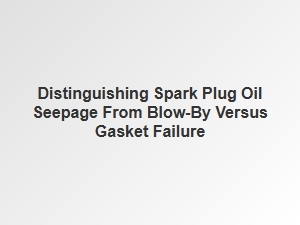 Identifying Spark Plug Oil Seepage