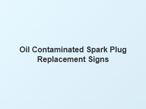 Oil Contaminated Spark Plug Replacement Signs